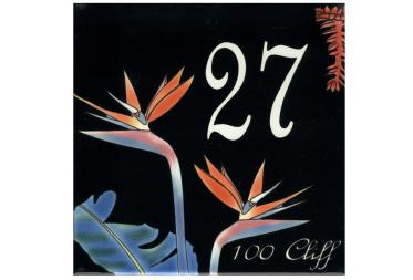 Numero Cliff 20x20